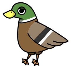 cute mallard duck cartoon drawing transparent background vector illustration