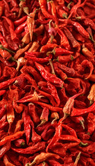 Fototapeta premium red hot pepper background