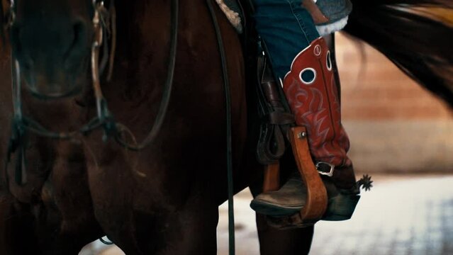 Cowgirl climbs astride her fawn stallion