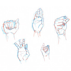 Drawings of Hands Performing ASL Sign Language Signs