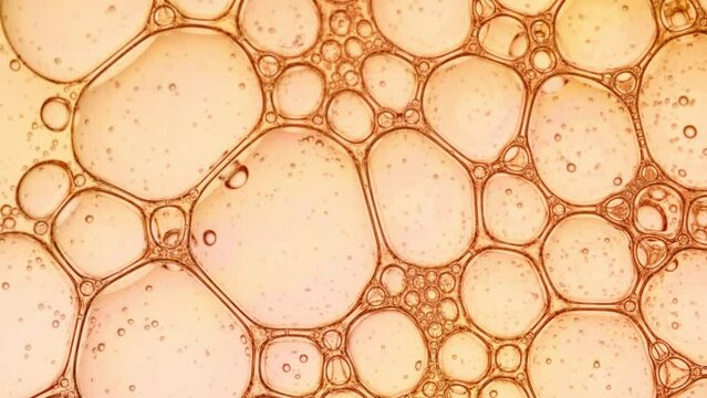 Transparent cosmetic gel fluid with molecule bubbles oil distribution. Bubble cluster, cells under a microscope. Macro Shot of Natural Organic Cosmetics, Medicine. Production Close-up. Slow Motion. 4k