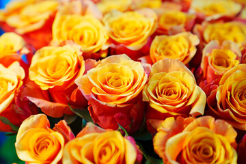 Large and beautiful bouquet of orange yellow roses. 