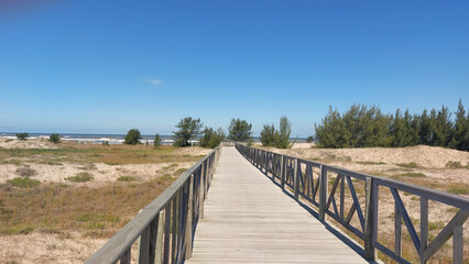 Fototapeta premium wooden bridge in the forest