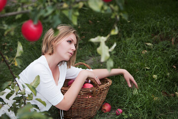 Beautiful young woman is resting after harvesting apples in an orchard.