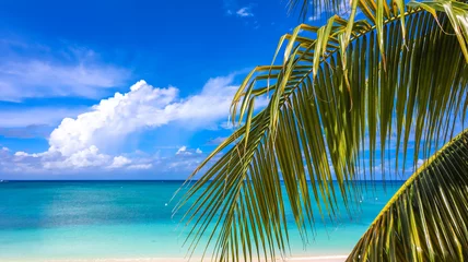 Zelfklevend Fotobehang Seven Mile Beach, Grand Cayman Seven Mile Beach in Grand Cayman, Cayman Islands, Features azure blue sky, crystal-clear waters, pristine white sand, and coconut tree branches. Ideal for Caribbean vacations, tropical paradises, and 