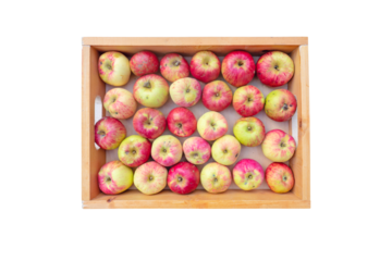 Organic red striped apple fruits in the wooden box top view isolated transparent png.