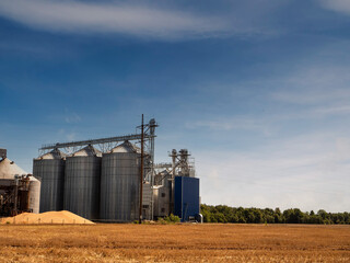 Fototapeta na wymiar Modern silo or elevator for grain collection and storage by a wheat field. Agriculture industry and food supply chain, Warm sunny day. Cloudy sky.