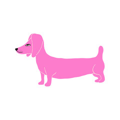 Cool strange Pink dachshund. Quirky comic dog character illustration