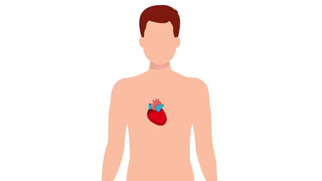 Human anatomy internal organ set with brain, lungs, intestine, heart, kidney, pancreas, spleen, liver and stomach. Vector isolated illustration