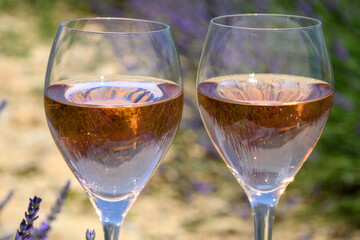 Summer in French Provence, cold gris rose wine from Cotes de Provence and blossoming colorful lavender fields on Valensole plateau, tastes and aromas Provence, France