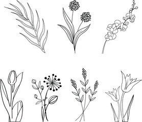 Botanical floral logotype collection in minimal style