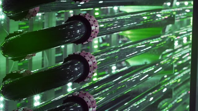Algae reactor science tubular, research pipe hose modern laboratory bioreactor tubing multi cultivator hosepipe photon instrument biotechnology detail sample preparation bubbles, photo bio cultivation