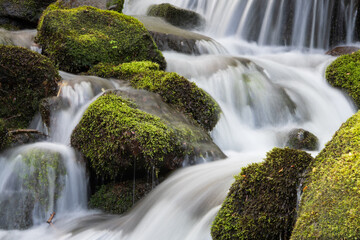 Waterfall cascading over the rocks near Wild Cherry Branch in the Great Smoky Mountains