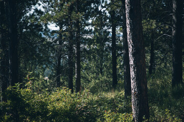 landscapes of South Dakota
