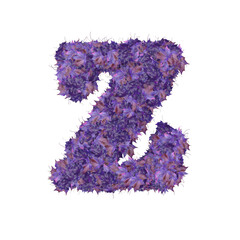 Symbol from autumn purple leaves. letter z