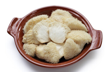 Fresh lion's mane mushroom on white background. (Yamabushitake Mushroom)