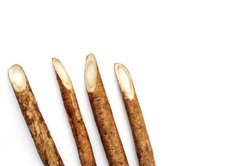 Burdock Root (Gobo) on white background.