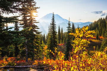 Autumn colors in Mt. Rainier National Park around Naches Peak Loop Trail