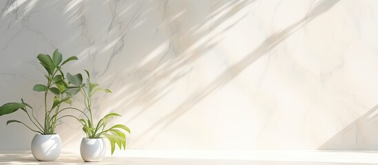 Minimalistic blurred foliage shadow on light wall Stunning background for presentation with marble floor