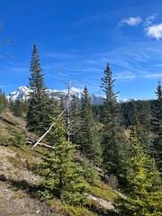 Cascade Mountain creek in Banff 