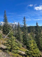 Cascade Mountain creek in Banff 