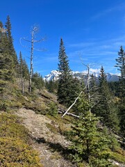 Cascade Mountain creek in Banff 