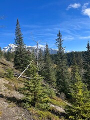 Cascade Mountain creek in Banff 