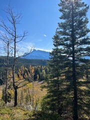 Cascade Mountain creek in Banff 