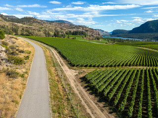 Fototapeta na wymiar Okanagan Falls Valley British Columbia Winery Vineyard Landscape