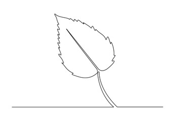  Single line drawing of tree leaf. One line art style leaf. Isolated on white background vector illustration. Premium vector.