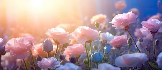 Gartenposter Eustoma flowers bloom with roses in a dreamy garden enchanting and magical © 2rogan