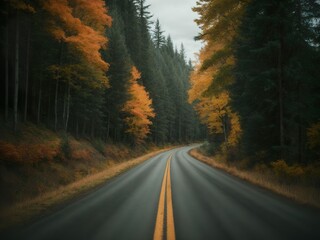 Fototapeta premium Autumn Country Road - A Moody Path Amidst the Forest Landscape with Vibrant Hues of Orange and Autumnal Green, Embarking on an Adventure through the Canadian Countryside.