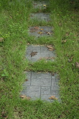 pathway without fence in green grass