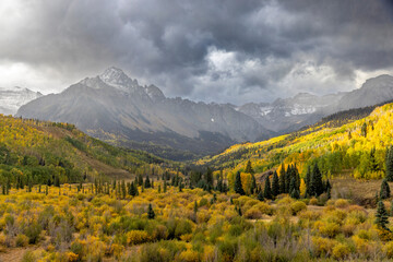 Mount Sneffels, Autumn Aspens