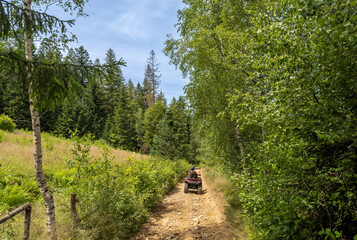 A man rides an ATV on a dirt road in the forest on a sunny summer day. A man rides an ATV. Natural sports background, natural activity background