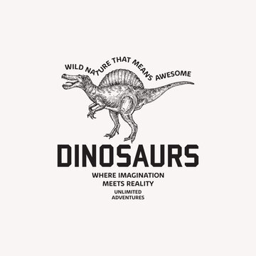 Free vector dinosaur tyrannosaur skeleton t-shirt print.