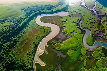 Aerial view of a river delta with lush vegetation and winding channels - Powered by Adobe