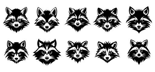 Raccoon head logo set - vector illustration, emblem design on white background. - obrazy, fototapety, plakaty