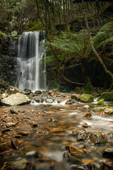 Flowing Tasmanian Waterfall 