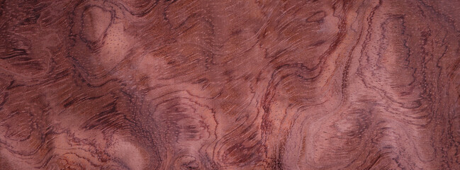 Closeup texture of wooden flooring made of Bubinga Waterfall