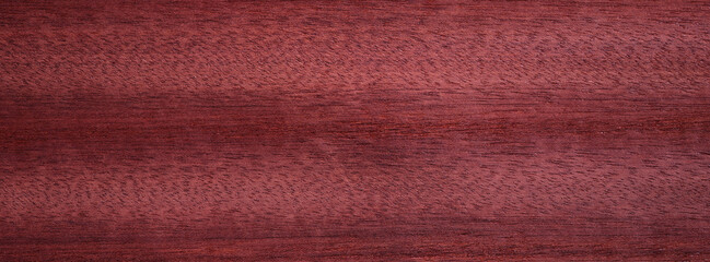 Closeup texture of wooden flooring made of Padauk