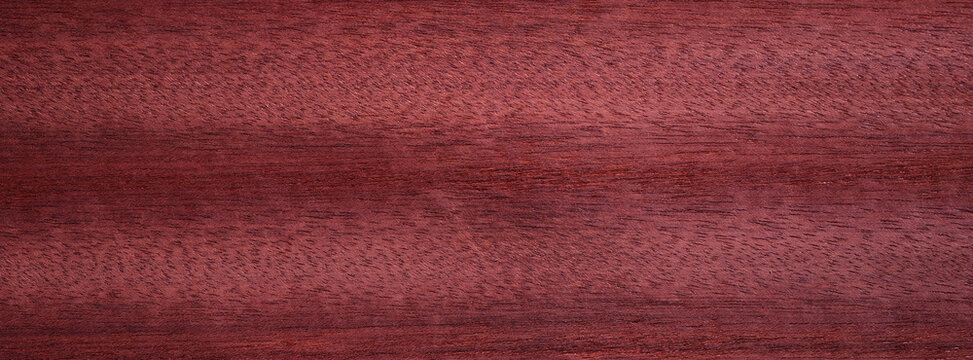Closeup texture of wooden flooring made of Padauk