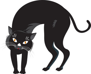 Black magic Halloween cat on transparent background.