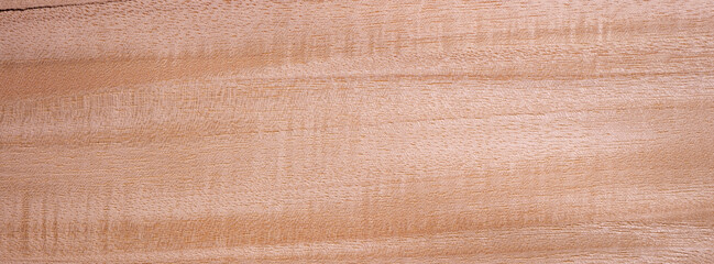 Closeup texture of wooden flooring made of Primavera