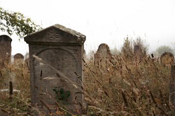 Spooky Cemetery. Halloween background