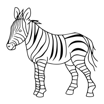 zebra vector illustration,AI generated