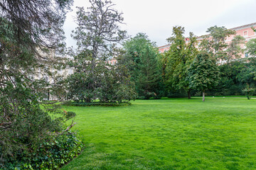 Trees in the garden of Palacio de Liria, Madrid