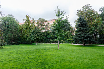 Trees in the garden of Palacio de Liria, Madrid
