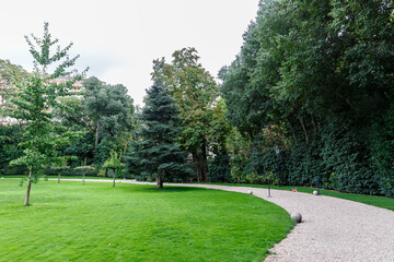 Trees in the garden of Palacio de Liria, Madrid