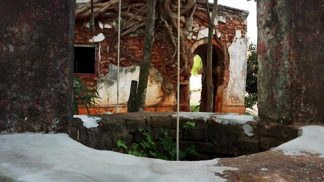 Crane Shot From Water Well Of Tree Grew In Old House In Paraguay 